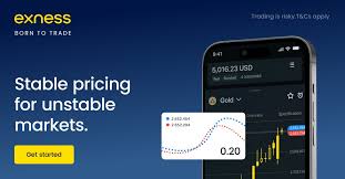 Understanding the Exness Cent Account Bonus Understanding the Exness Cent Account Bonus